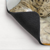 Katze verworrenes Mousepad der Savanne-F1 (Ecke)