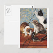 Katze Vintage Postkarte (Vorne/Hinten)