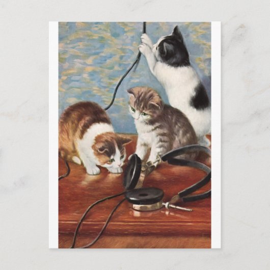 Katze Vintage Postkarte (Vorderseite)
