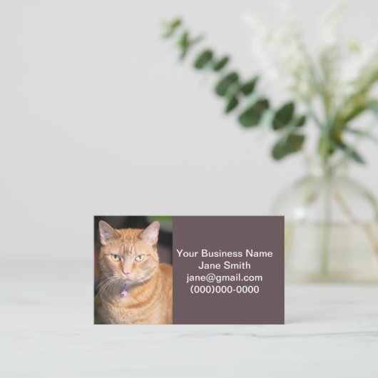 Katze Visitenkarte (Stehend Vorderseite)