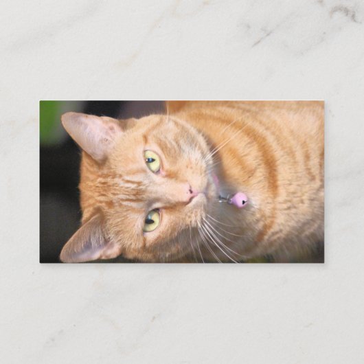Katze Visitenkarte (Rückseite)
