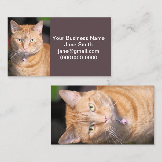 Katze Visitenkarte (Vorne/Hinten)