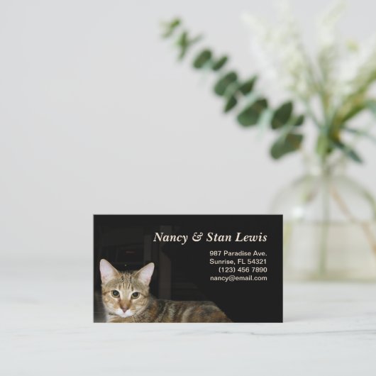 Katze Visitenkarte (Stehend Vorderseite)