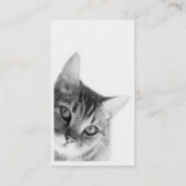 Katze Visitenkarte (Rückseite)