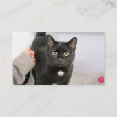 Katze Visitenkarte (Rückseite)