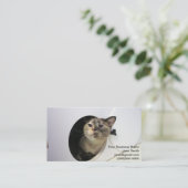 Katze Visitenkarte (Stehend Vorderseite)