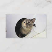 Katze Visitenkarte (Rückseite)