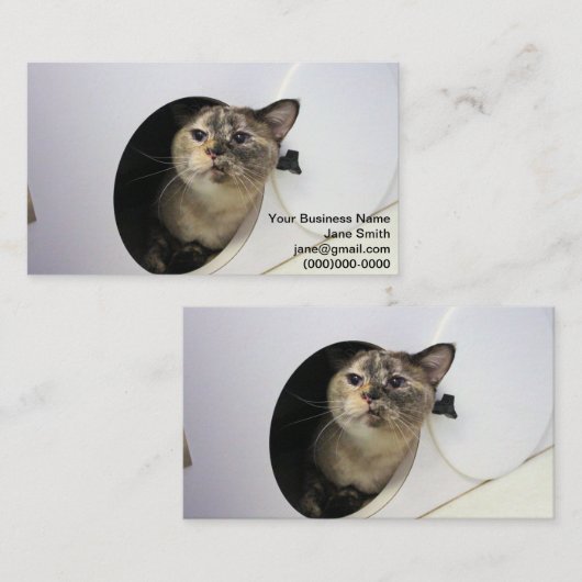 Katze Visitenkarte (Vorne/Hinten)