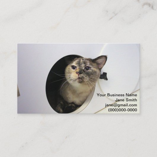 Katze Visitenkarte (Vorderseite)