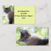 Katze Visitenkarte (Vorne/Hinten)