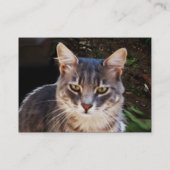 KATZE VISITENKARTE (Rückseite)