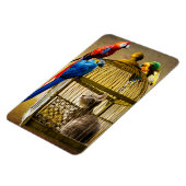 Katze & Vögel Magnet (Linke Seite)