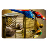 Katze & Vögel Magnet (Horizontal)