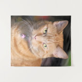 Katze Wandteppich (Vorderseite (Horizontal))