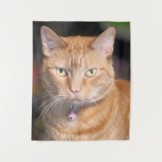 Katze Wandteppich (Vorderseite)