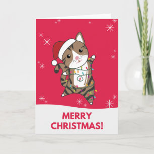 Katze Weihnachten Schnee Winter Tiere Katzen Karte