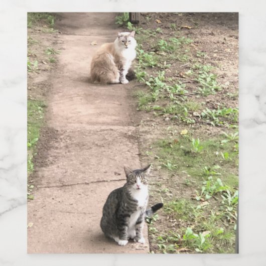 Katze Weinetikett (Einzelnes Label)