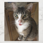 Katze Weinetikett (Einzelnes Label)