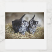 Katze Weinetikett (Einzelnes Label)