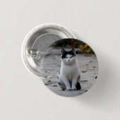 Katze, weiß, Haustier Button (Vorne & Hinten)