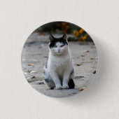 Katze, weiß, Haustier Button (Vorderseite)