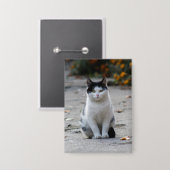 Katze, weiß, Haustier Button (Vorderseite/Rückseite)