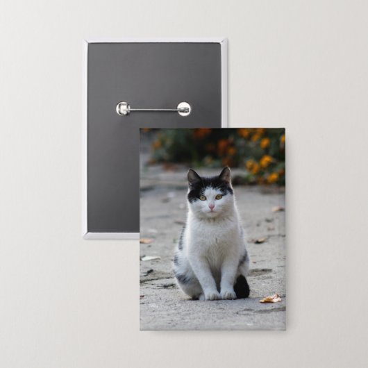 Katze, weiß, Haustier Button (Vorderseite/Rückseite)