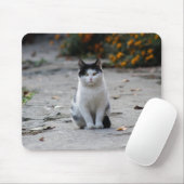 Katze, weiß, Haustier Mousepad (Mit Mouse)