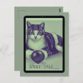 Katze, "Welcher Baum?" Postkarte (Vorne/Hinten)