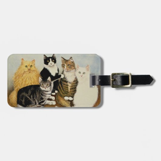 Katze-Wiege Gepäckanhänger (Vorderseite horizontal)