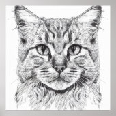 Katze Wildtiere Natur Tierbilder Zeichnend Kunst Poster (Vorne)