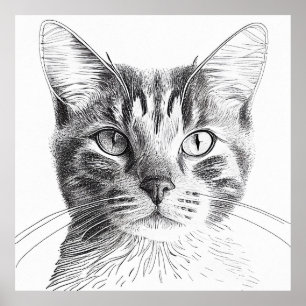 Katze Wildtiere Natur Tierbilder Zeichnend Kunst Poster