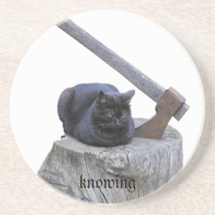 Katze, wissend untersetzer