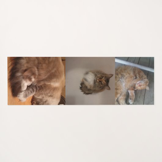 Katze Yogamatte (Rückseite (Horizontal))