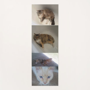 Katze Yogamatte