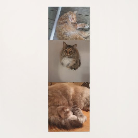 Katze Yogamatte (Rückseite)