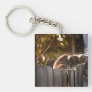 Katze, Zaun, Holz Schlüsselanhänger