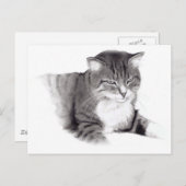 Katze: Zeichnend Stift: Originalität Postkarte (Vorne/Hinten)