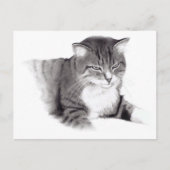 Katze: Zeichnend Stift: Originalität Postkarte (Vorderseite)