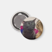 Katze-Zonen-out-Meme Magnet (Vorderseite/Rückseite)