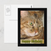 Katze zum Geburtstag Postkarte (Vorne/Hinten)