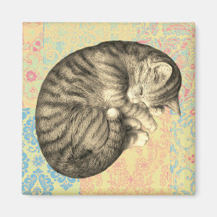 Katze zusammengerollt schlafend auf Quilt süß gemü Magnet