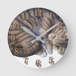 Katze zusammengerollt schlafend süß gemütlich runde wanduhr