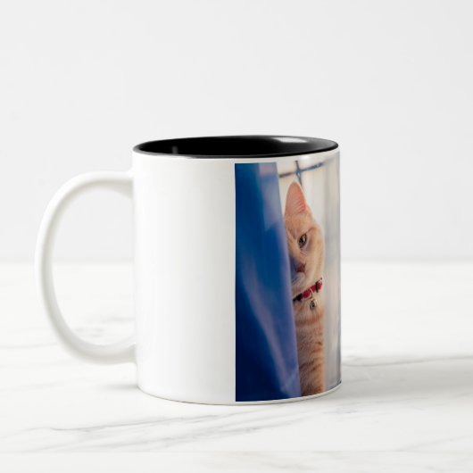 Katze Zweifarbige Tasse (Links)