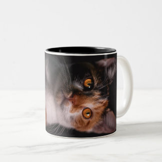 Katze Zweifarbige Tasse