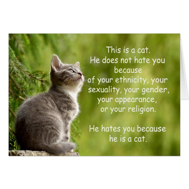 Katzen (Vorderseite (Horizontal))