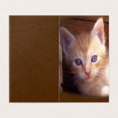 Katzen (Außenseite Aufgefaltet)