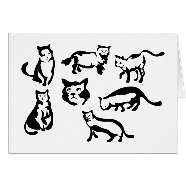 Katzen (Vorderseite (Horizontal))