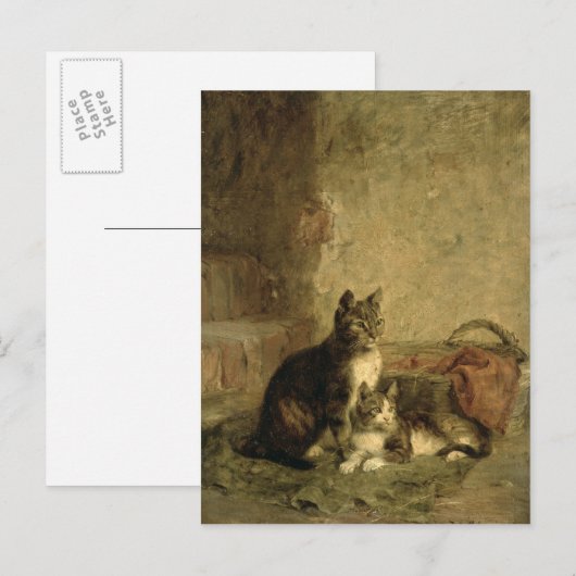 Katzen, 1883 postkarte (Vorne/Hinten)