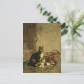 Katzen, 1883 postkarte (Stehend Vorderseite)